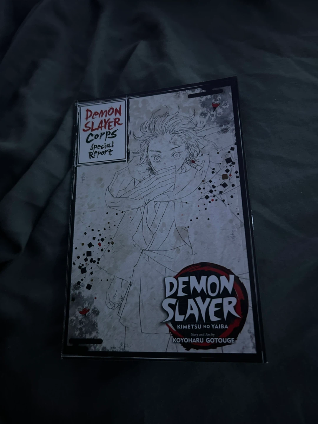 Demon Slayer Complete Box Set (Vol.1-23) - photo 4