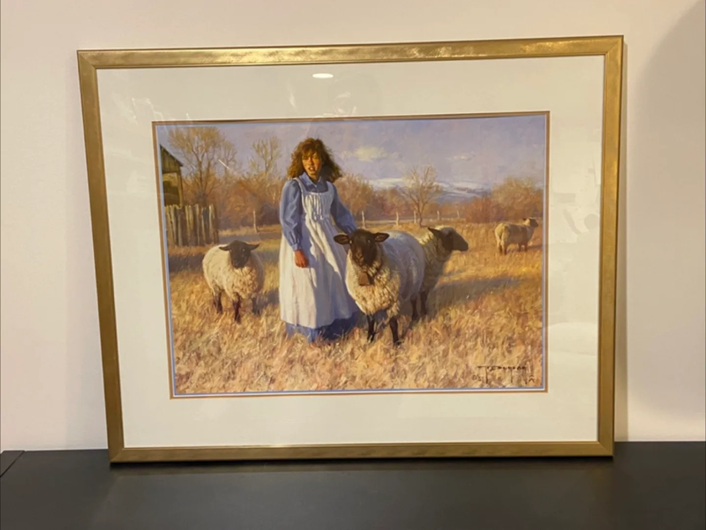 Framed art print, 28 x 22 inches