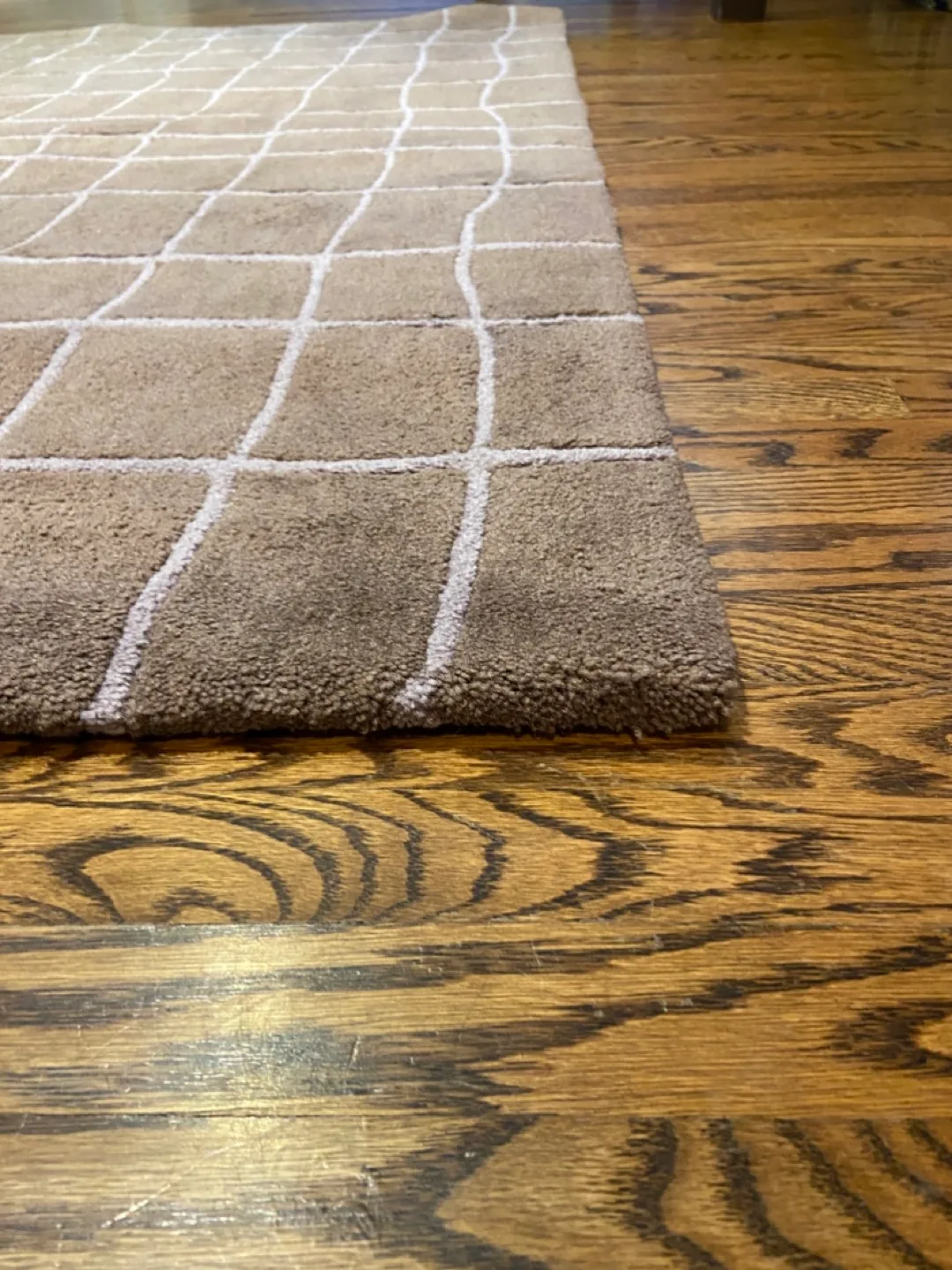 Brown Grid Pattern Area Rug image indicator(3)