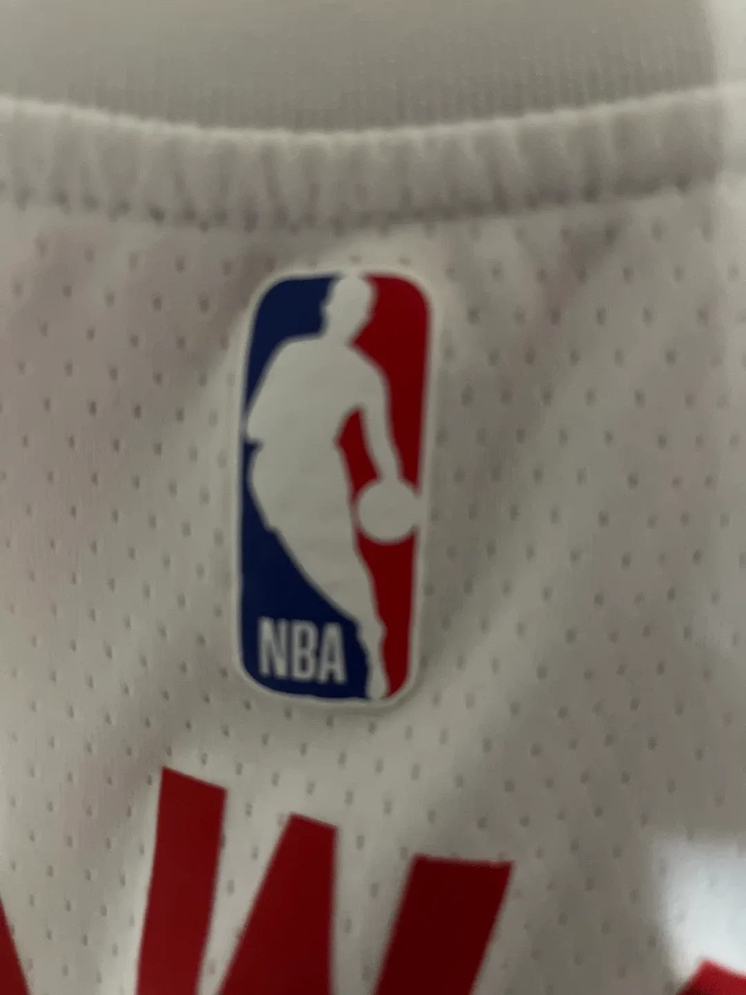 Nike NBA Raptors Jersey - Barnes #4 & Lowry #7 image indicator(5)