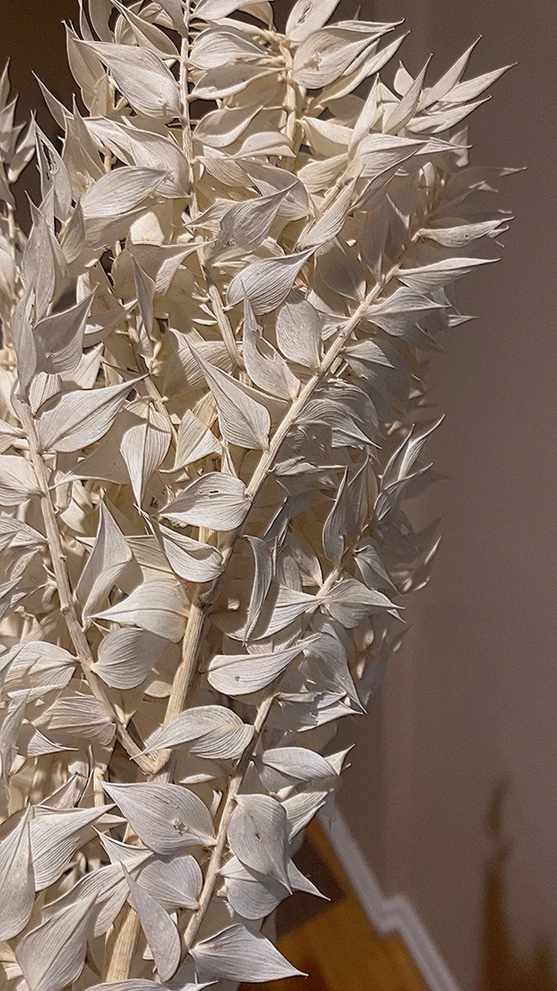 Dried Flower Bouquet image indicator(4)