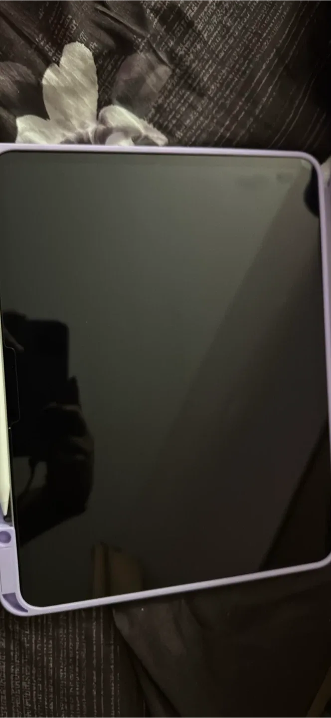 iPad Pro 11inch image indicator(4)