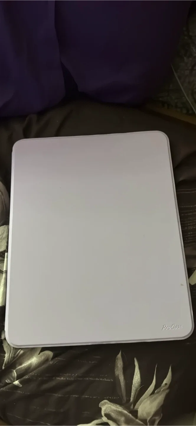 iPad Pro 11inch image indicator(2)