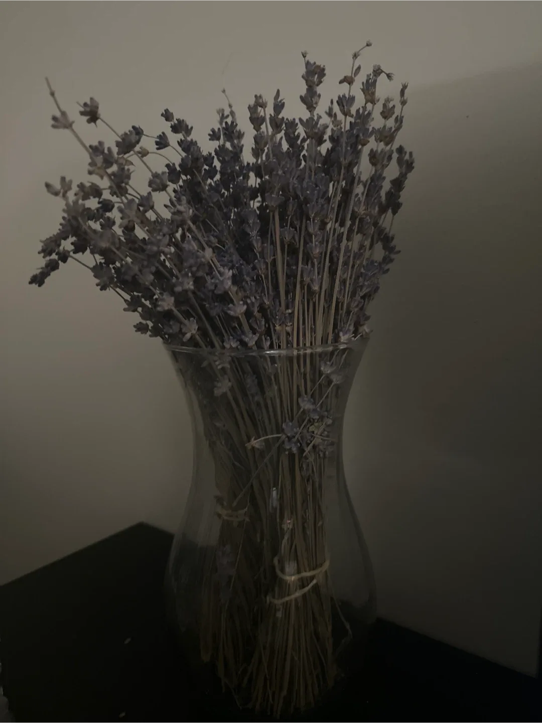 Dried Lavender in Vase thumbnail