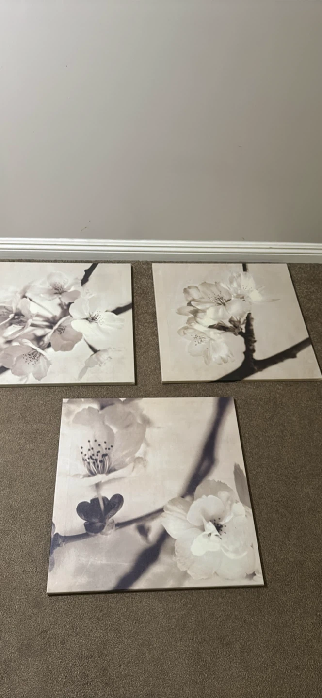 Set of 3 Floral Canvas Wall Art - size 22x22inch or 56x57 cm