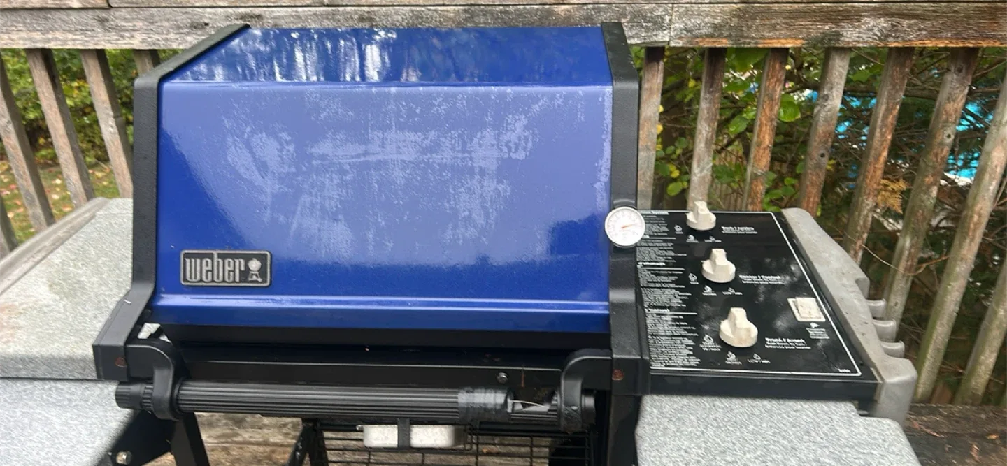 Weber Blue BBQ Grill