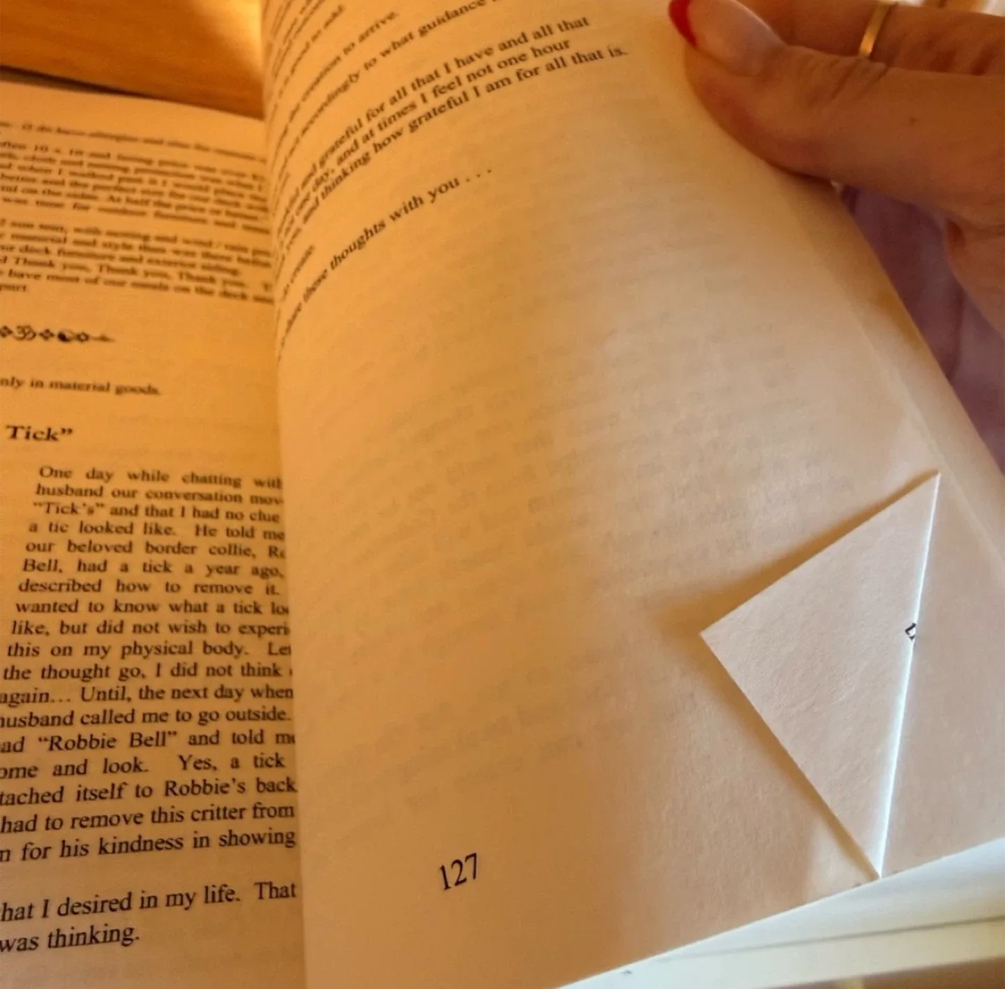 📚 The Soul by Telsie Boese-Bell Paperback Book image indicator(4)