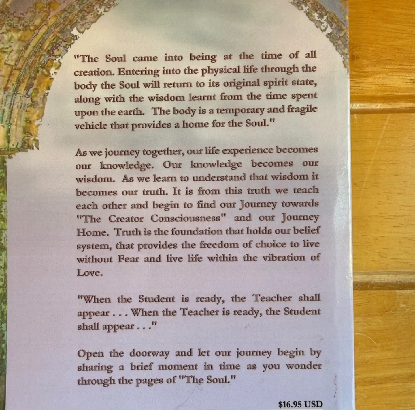 📚 The Soul by Telsie Boese-Bell Paperback Book image indicator(2)