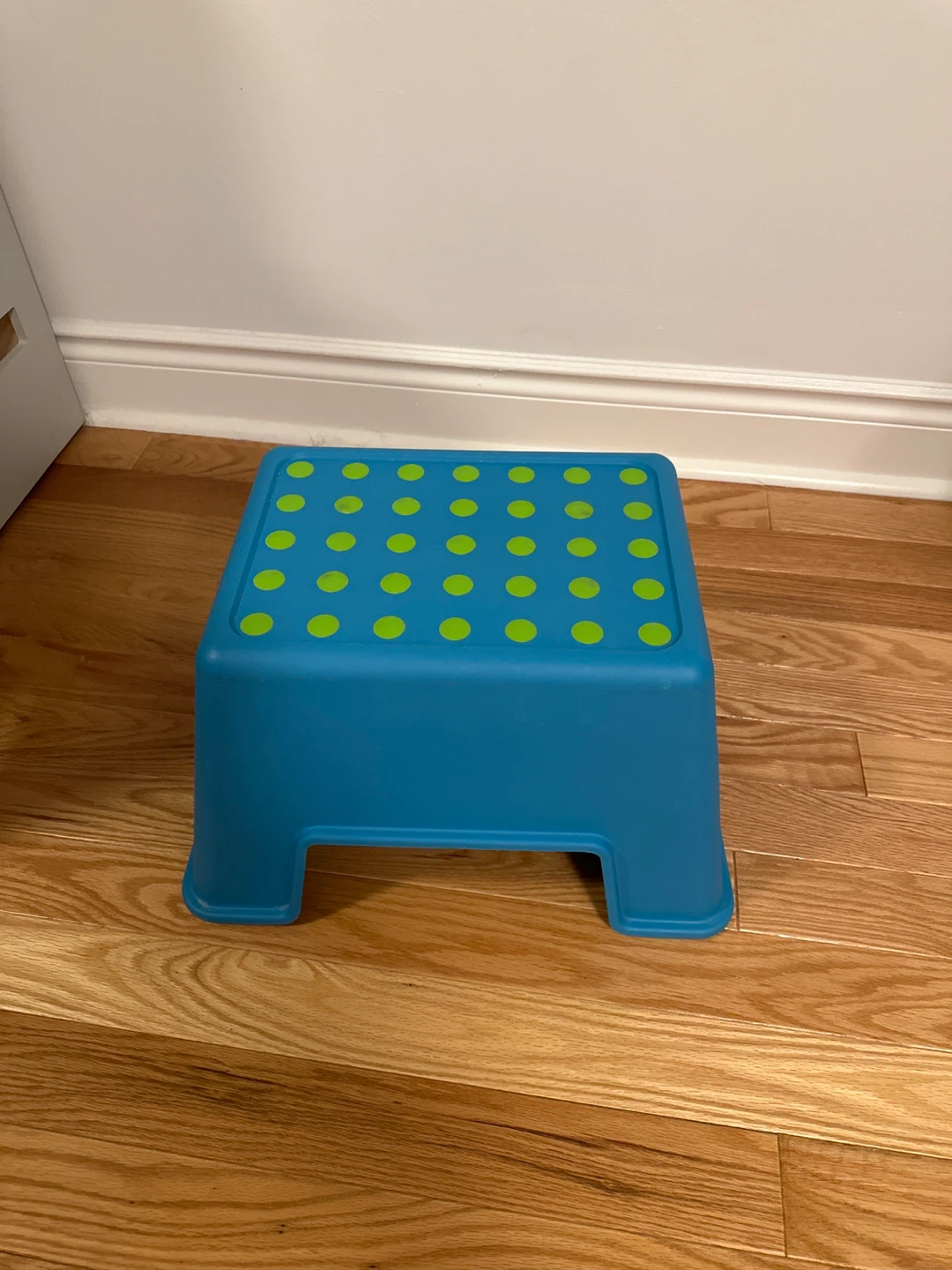 Blue Plastic Step Stool