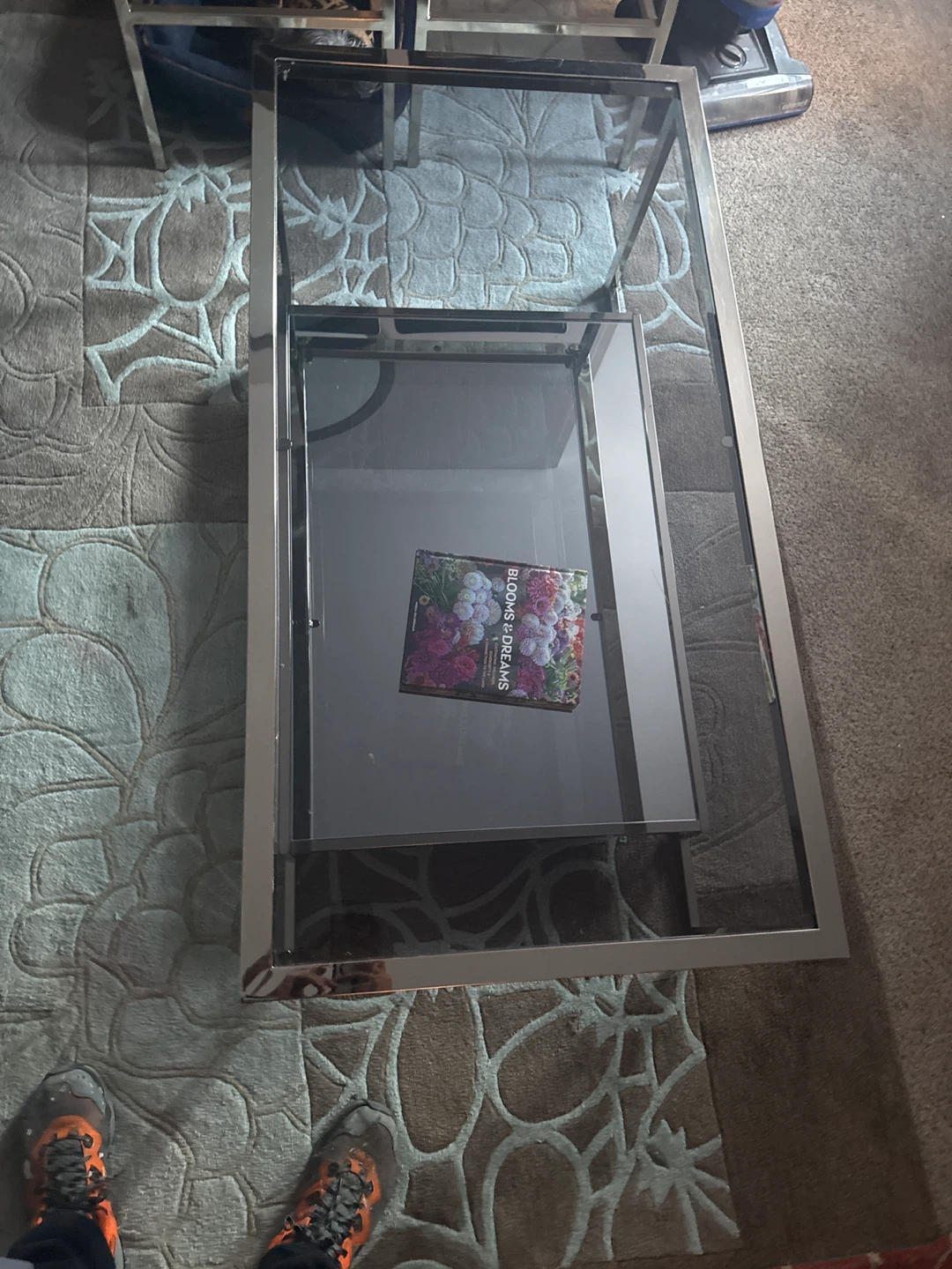 Glass Coffee Table