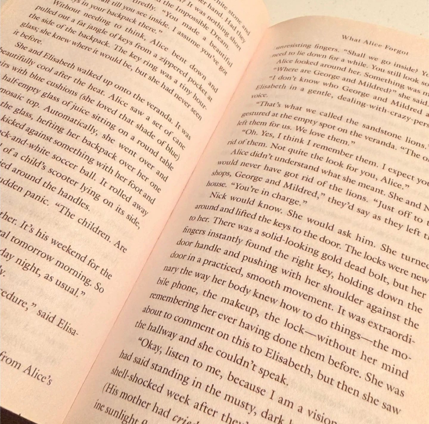 📚 What Alice Forgot by Liane Moriarty Paperback Novel - photo 4