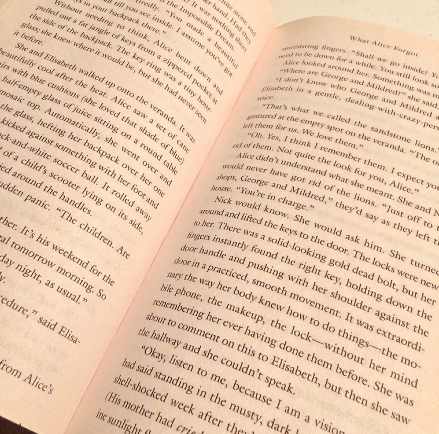 📚 What Alice Forgot by Liane Moriarty Paperback Novel image indicator(4)