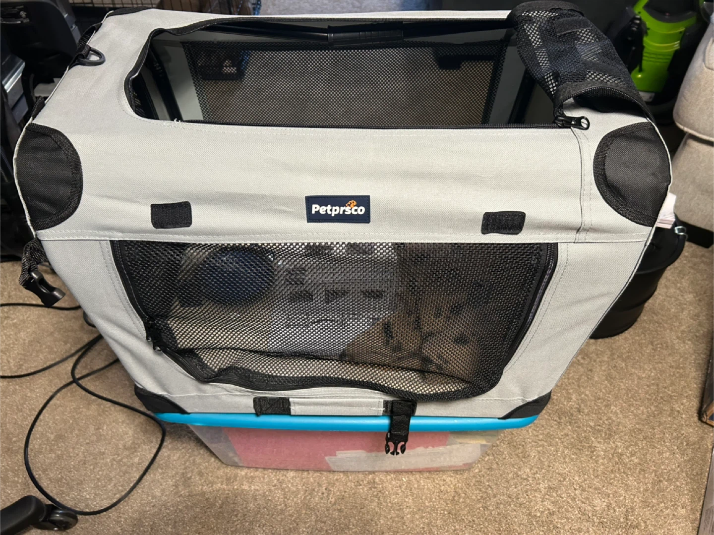 PetSafe Pet Cargo Carrier