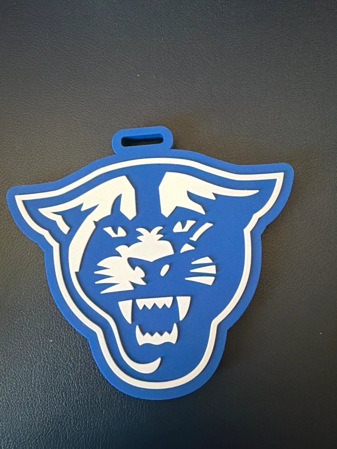 Georgia State Luggage Tag