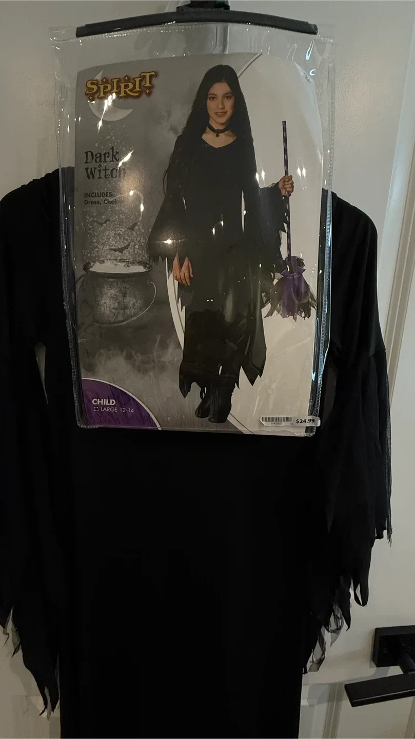 Spirit Halloween Dark Witch Costume (Size L) image indicator(2)
