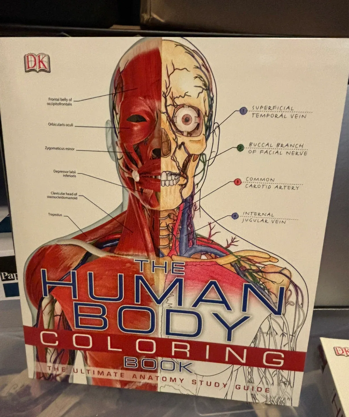 The Human Body Book & Coloring Book Set - NEW image indicator(2)