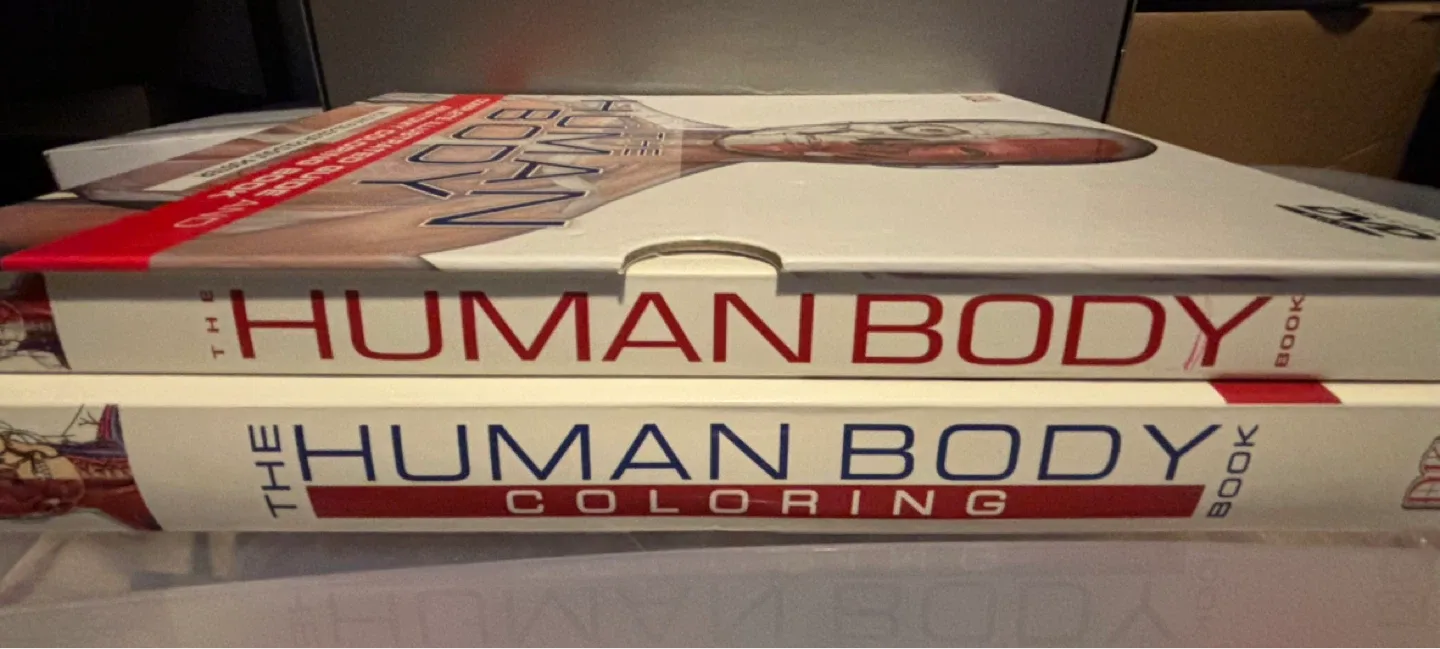The Human Body Book & Coloring Book Set - NEW image indicator(4)