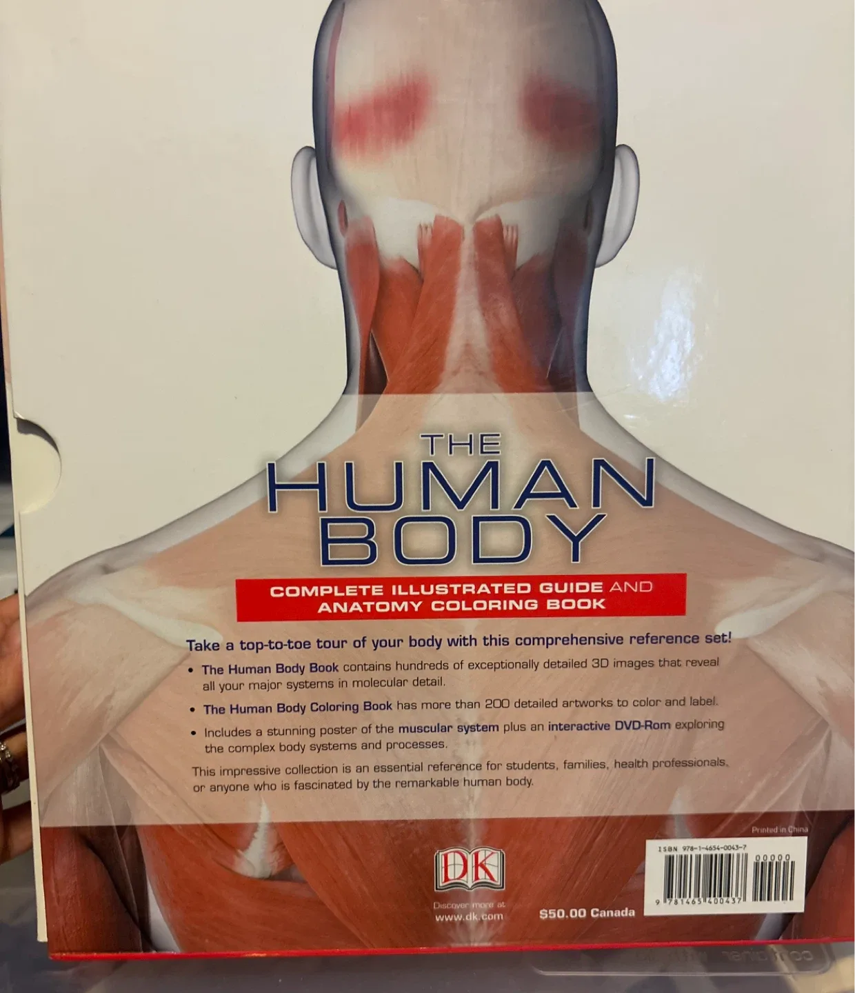 The Human Body Book & Coloring Book Set - NEW image indicator(5)