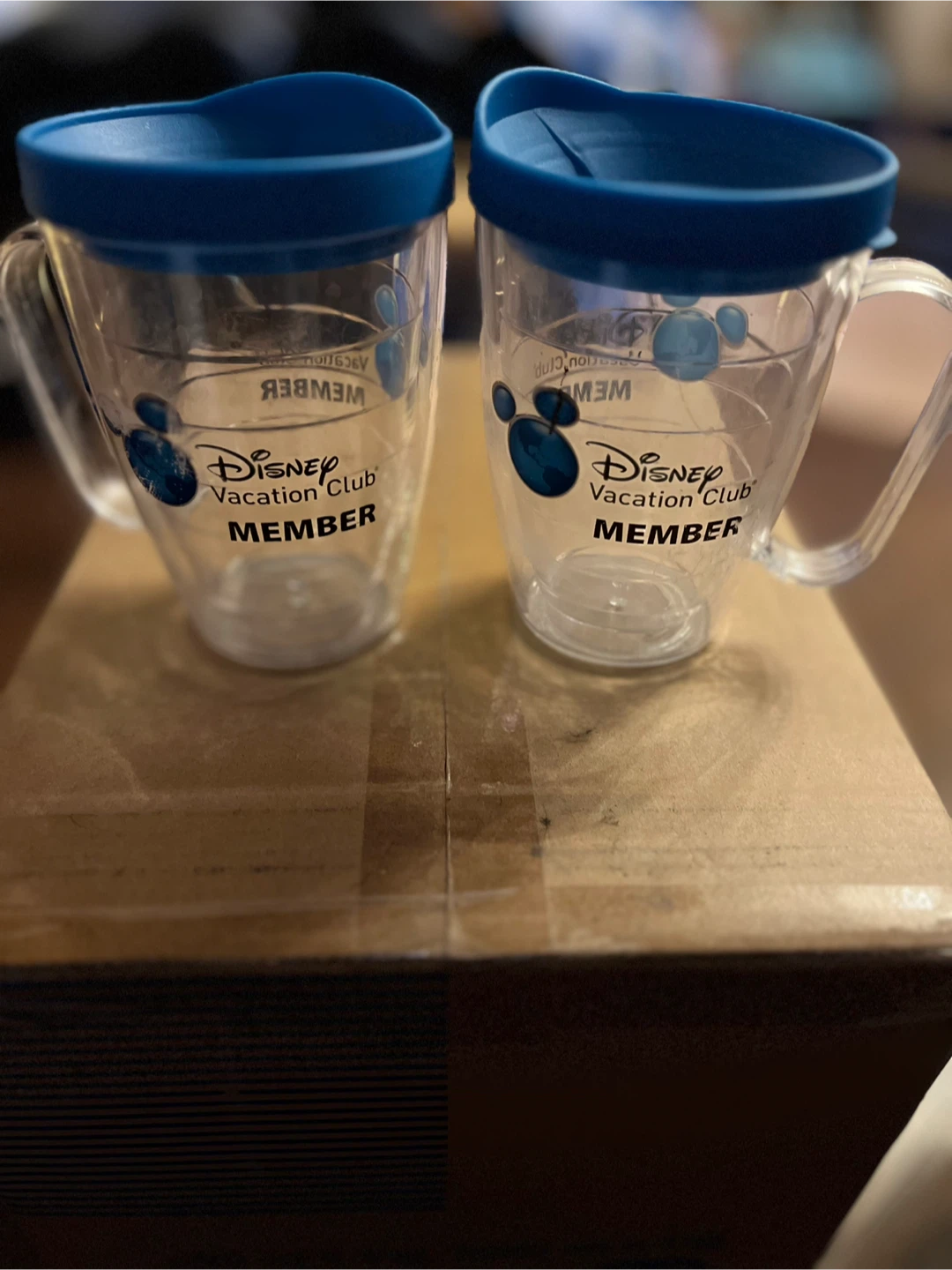 Disney Vacation Club Member Mug