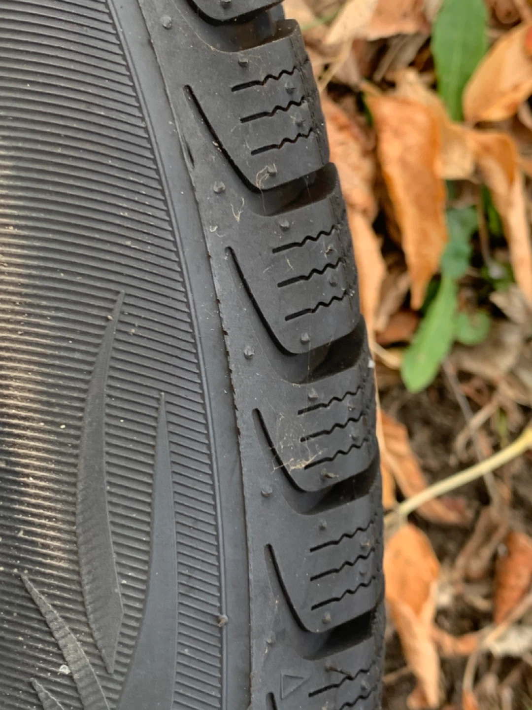 Winter Tires on Rims - photo 3
