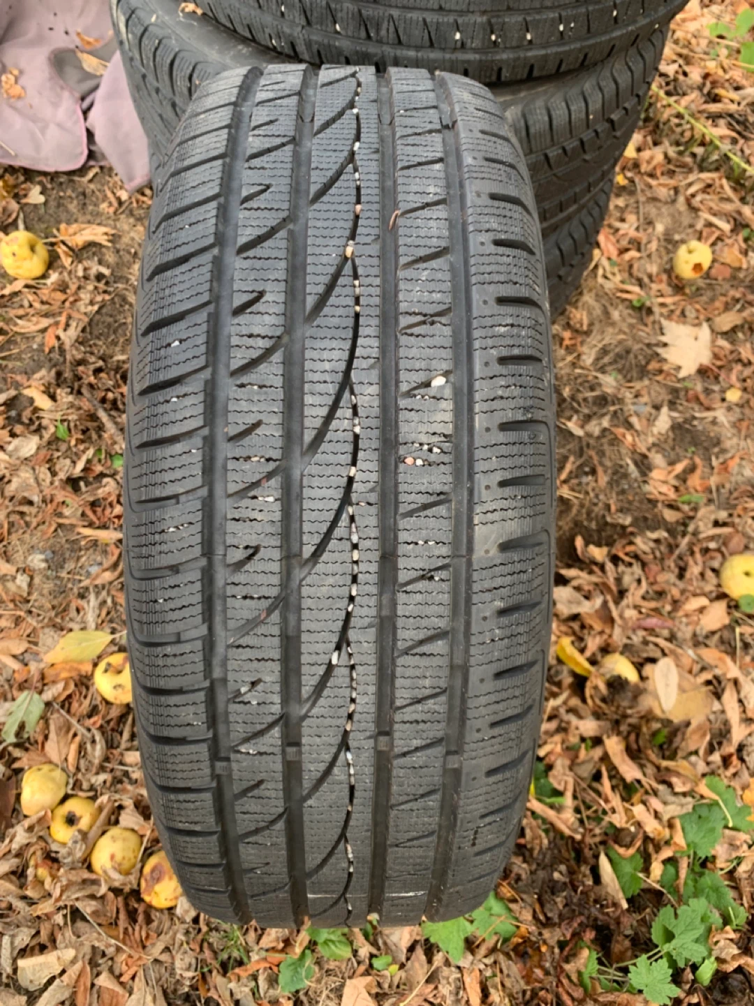 Winter Tires on Rims