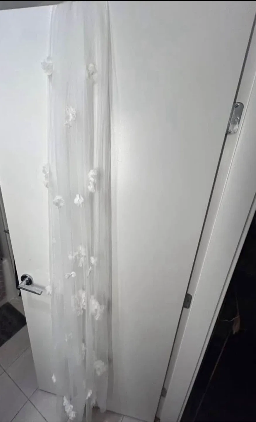 Floor length soft white wedding Veil with Floral Appliqués image indicator(8)