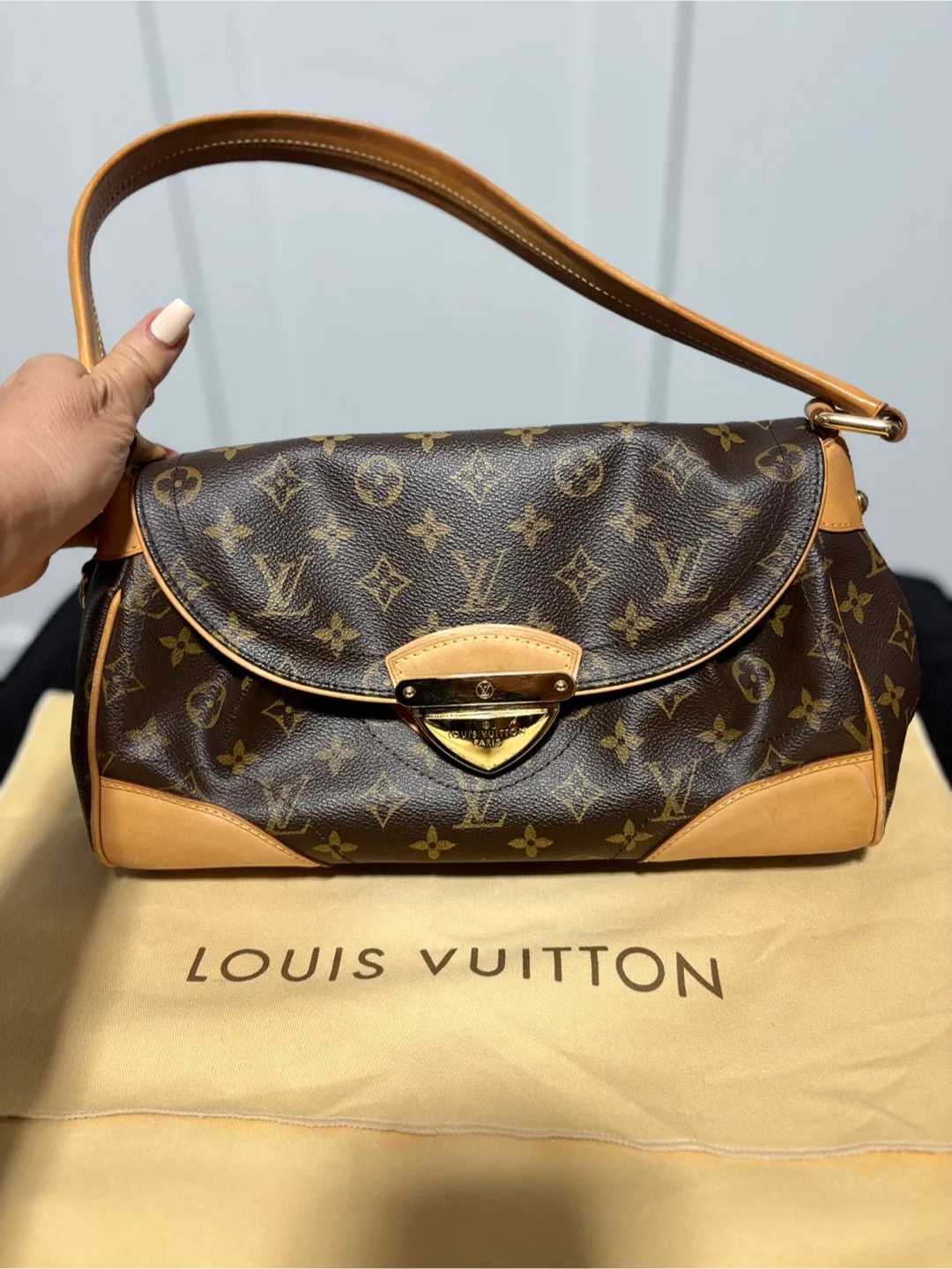 Louis Vuitton Monogram Canvas Shoulder Bag image indicator(2)