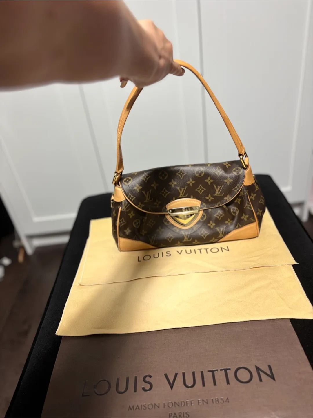 Louis Vuitton Monogram Canvas Shoulder Bag image indicator(6)