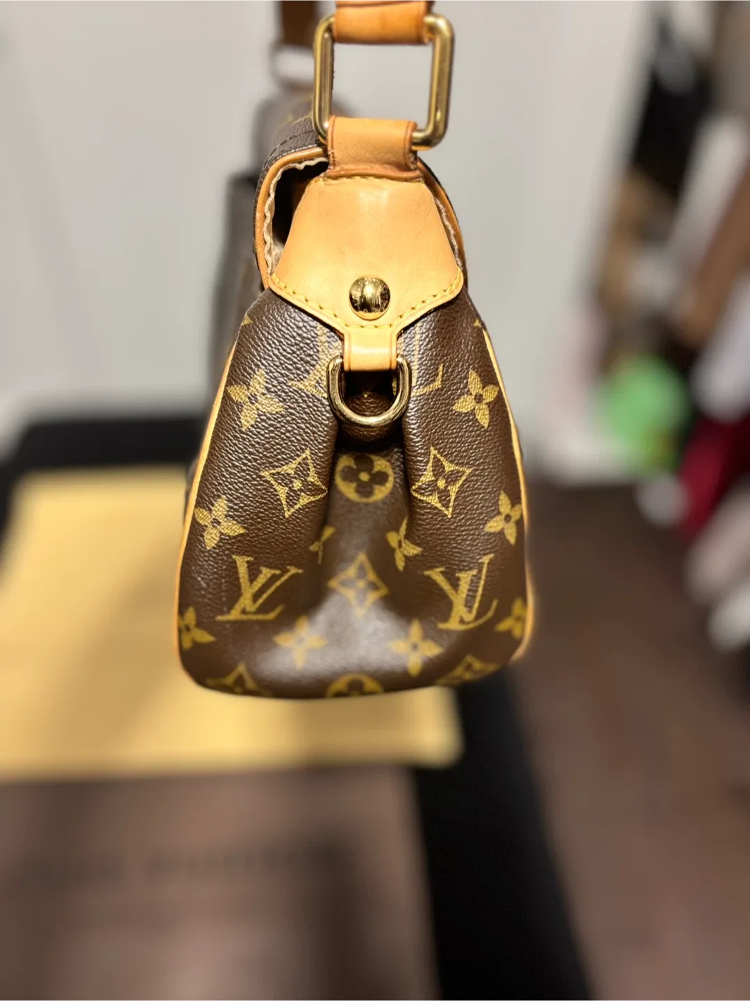 Louis Vuitton Monogram Canvas Shoulder Bag image indicator(3)