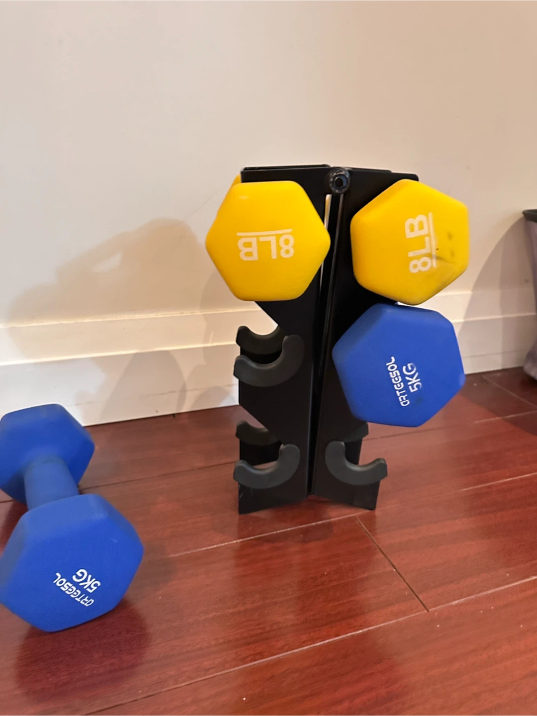 Orteesol Dumbbell Set with Rack - 5kg & 8lb