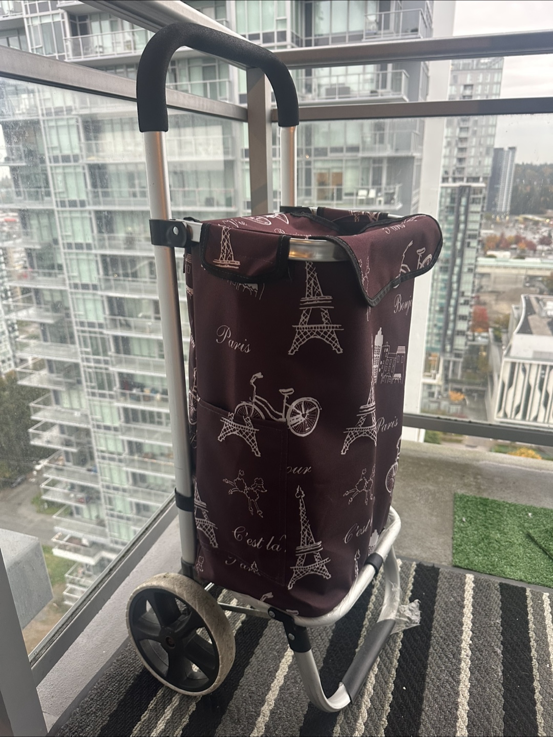 Shopping Cart with Paris Design