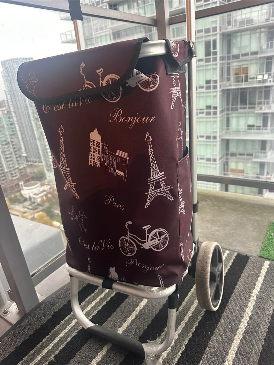 Shopping Cart with Paris Design image indicator(4)