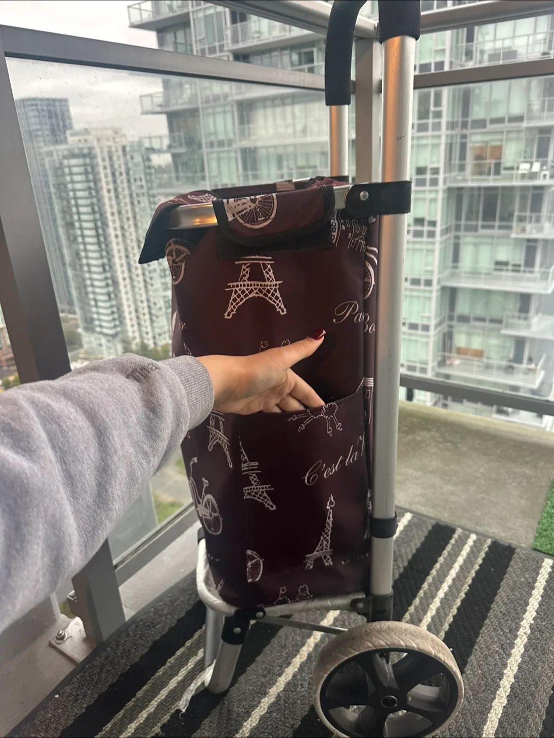 Shopping Cart with Paris Design image indicator(2)