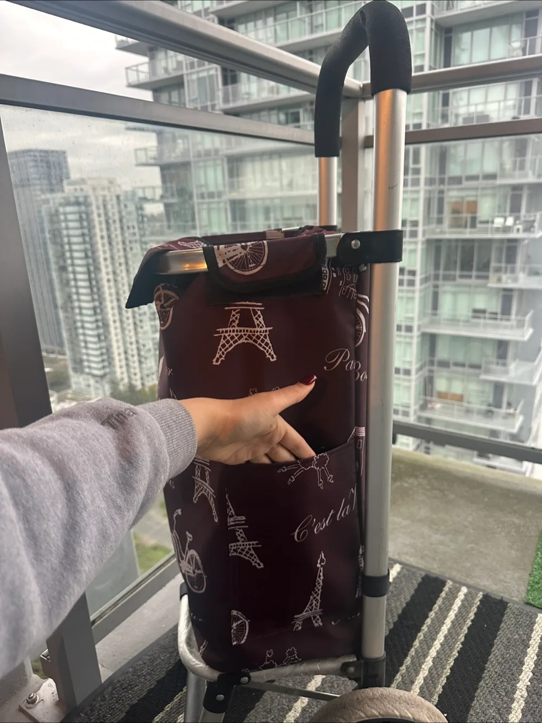 Shopping Cart with Paris Design image indicator(3)