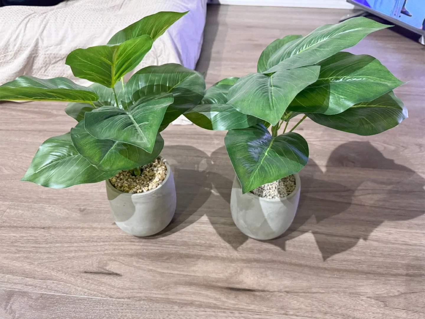 Artificial Potted Plant - Home Decor thumbnail