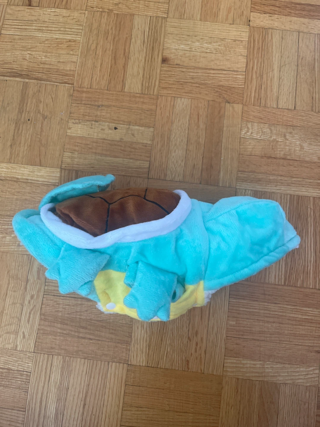 Squirtle Pet Costume