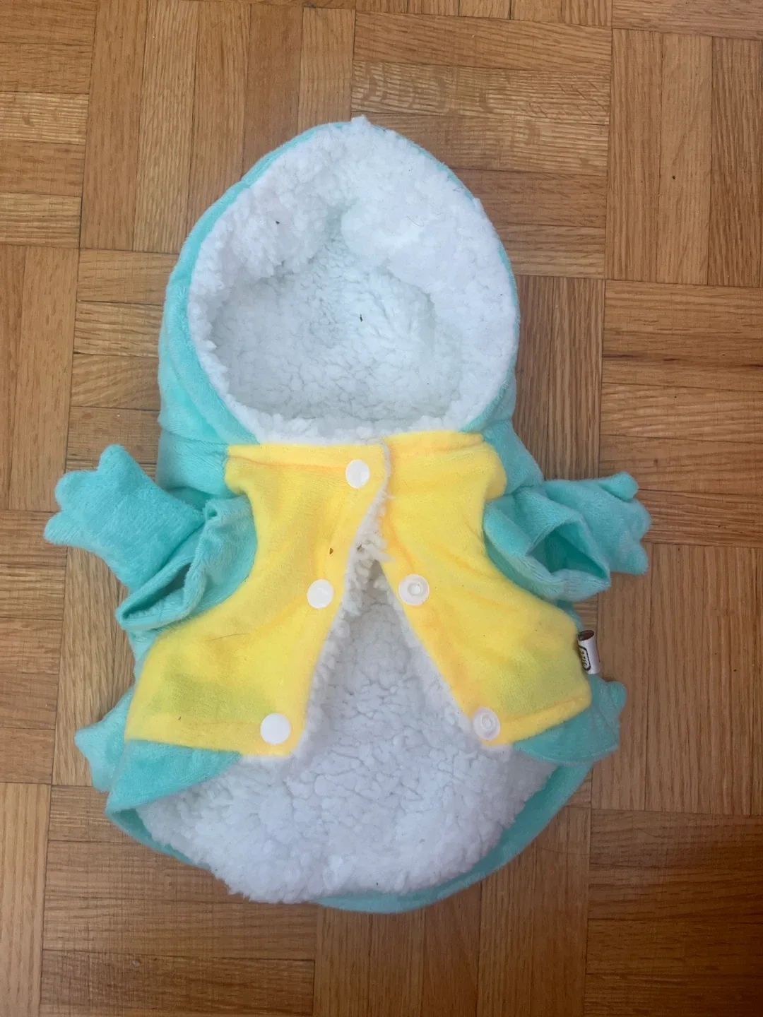 Squirtle Pet Costume image indicator(3)