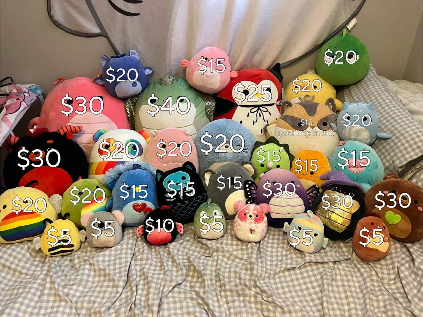 Squishmallows Plush Collection image indicator(2)