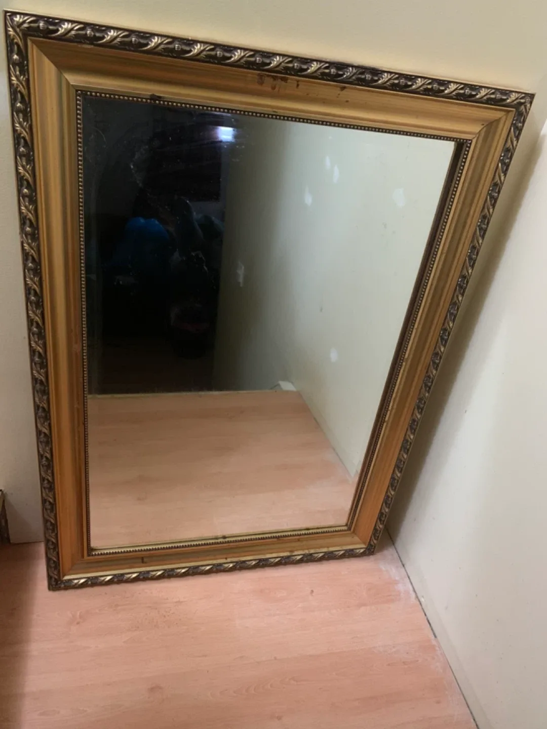 Gold Framed Mirror image indicator(2)