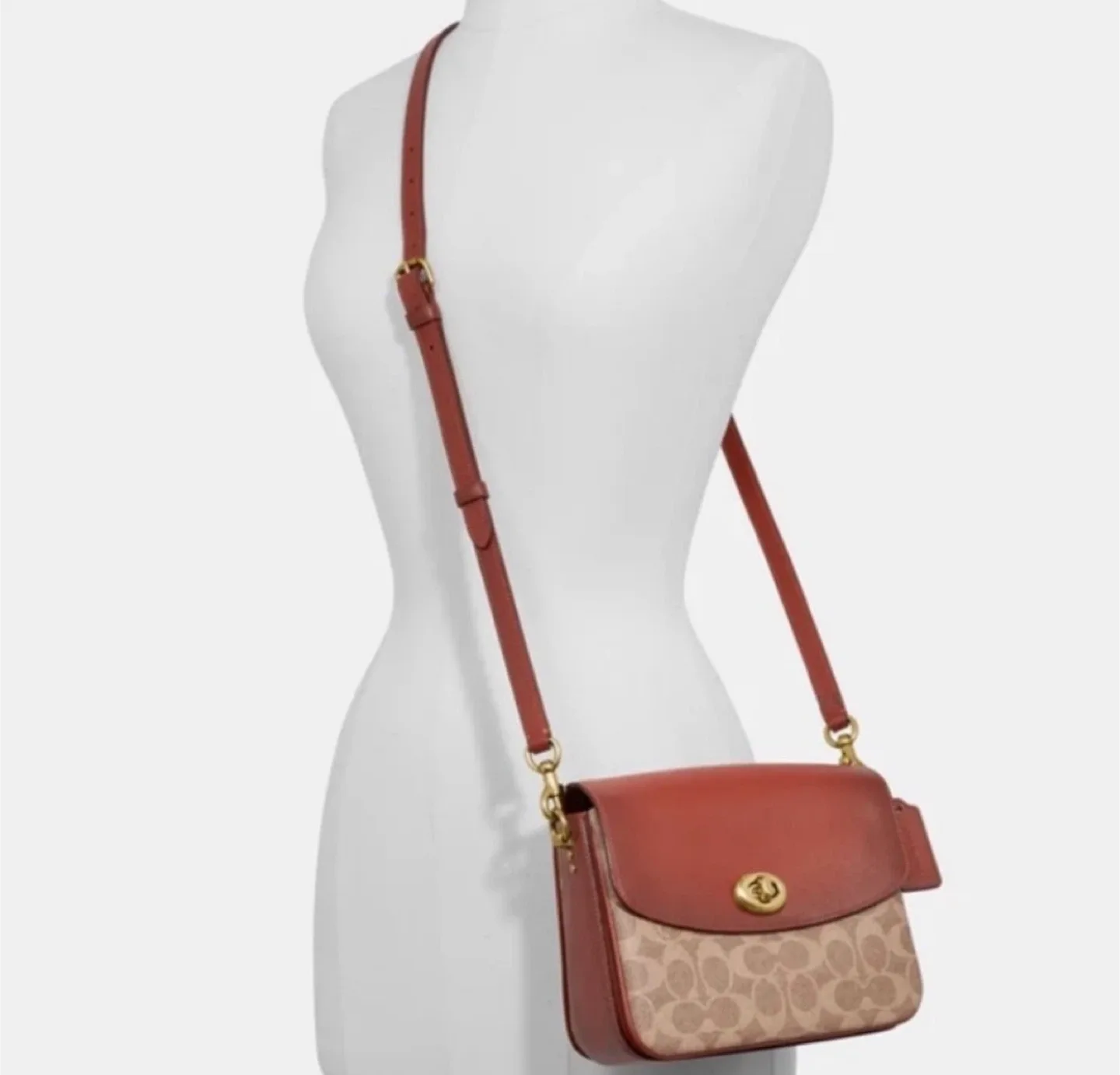 BNWT Signature Cassie Bag - Price Firm image indicator(5)