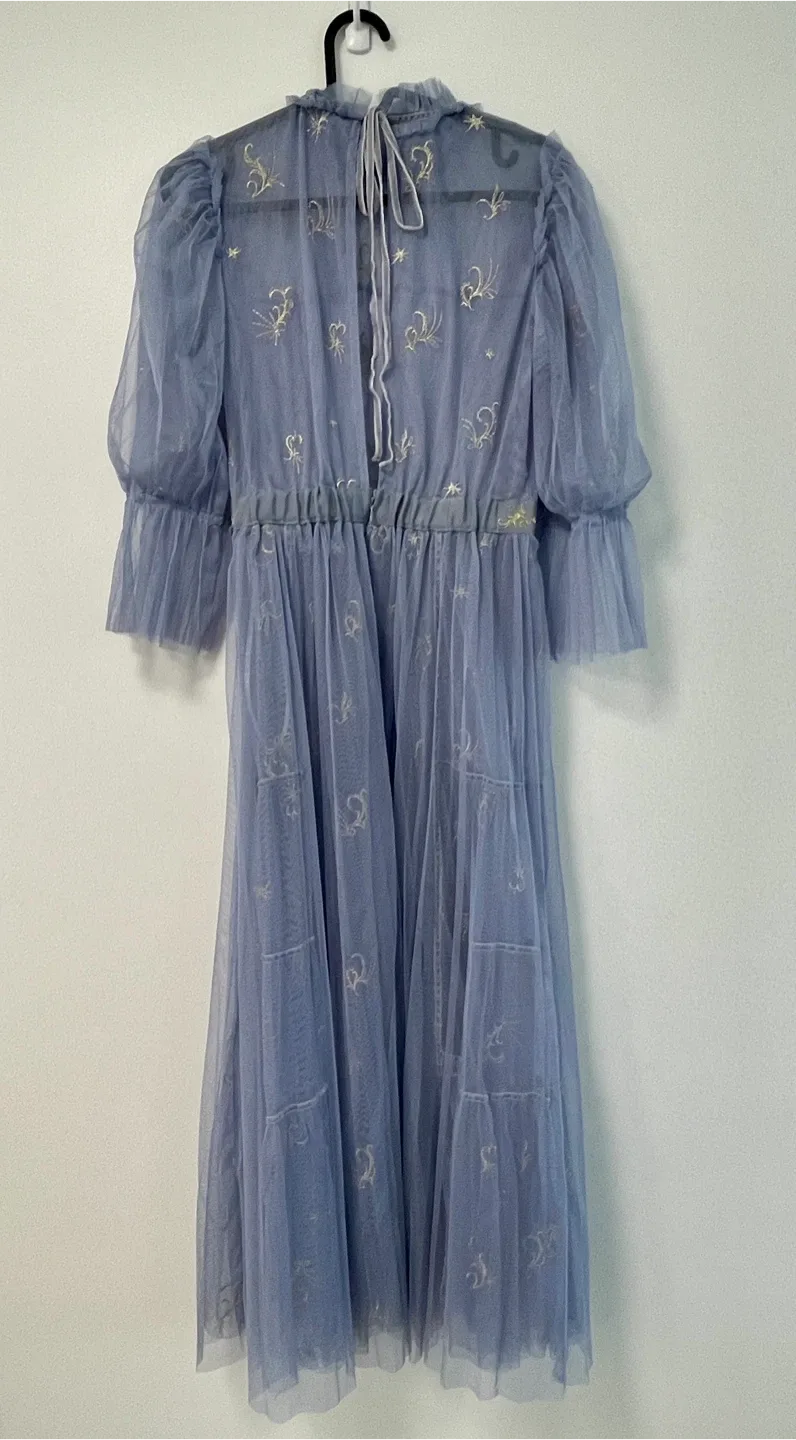 Blue Tulle Maxi Dress image indicator(4)