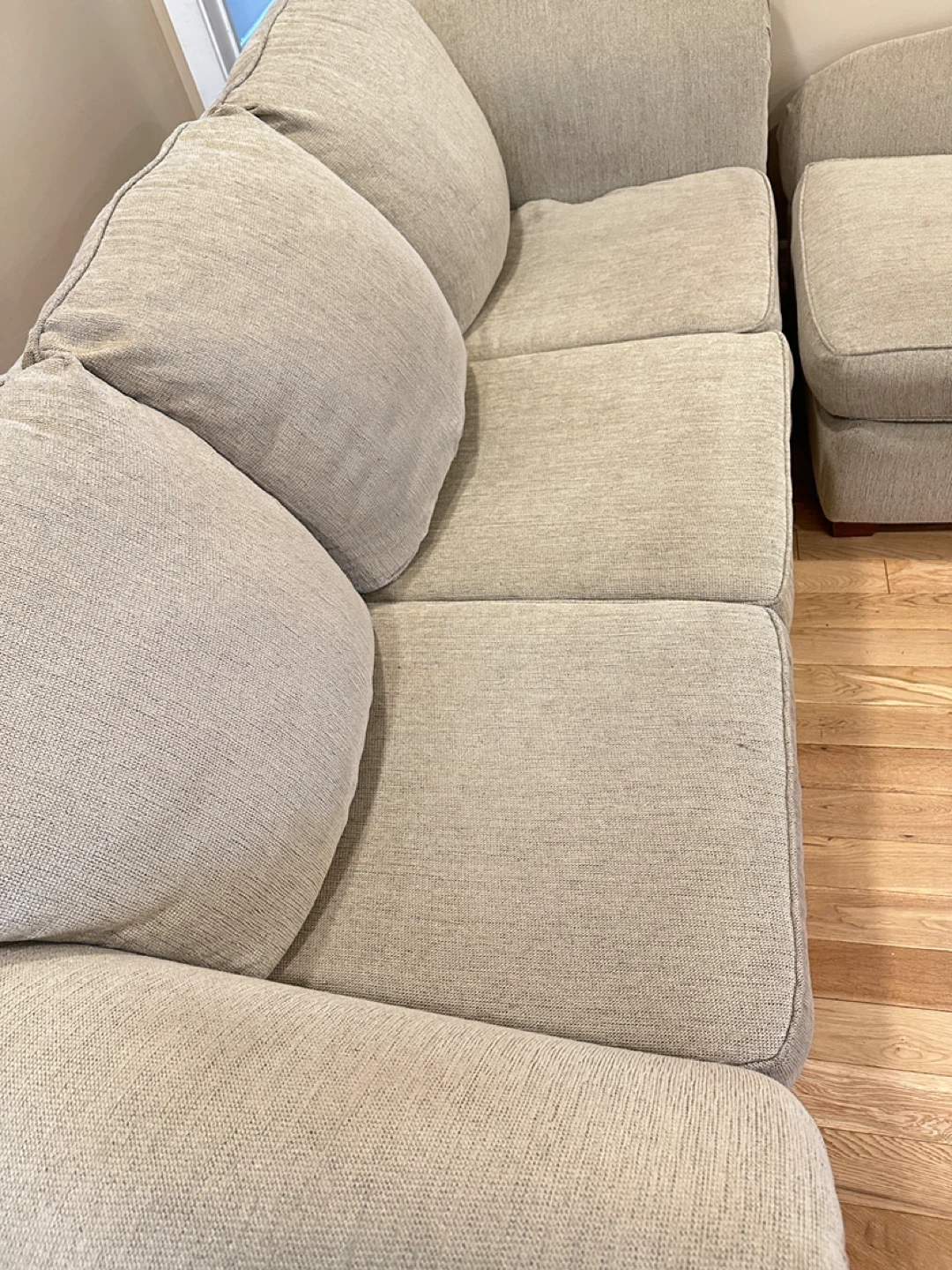 2-Piece Sectional Sofa with Chaise (CAN DELIVER) - photo 4