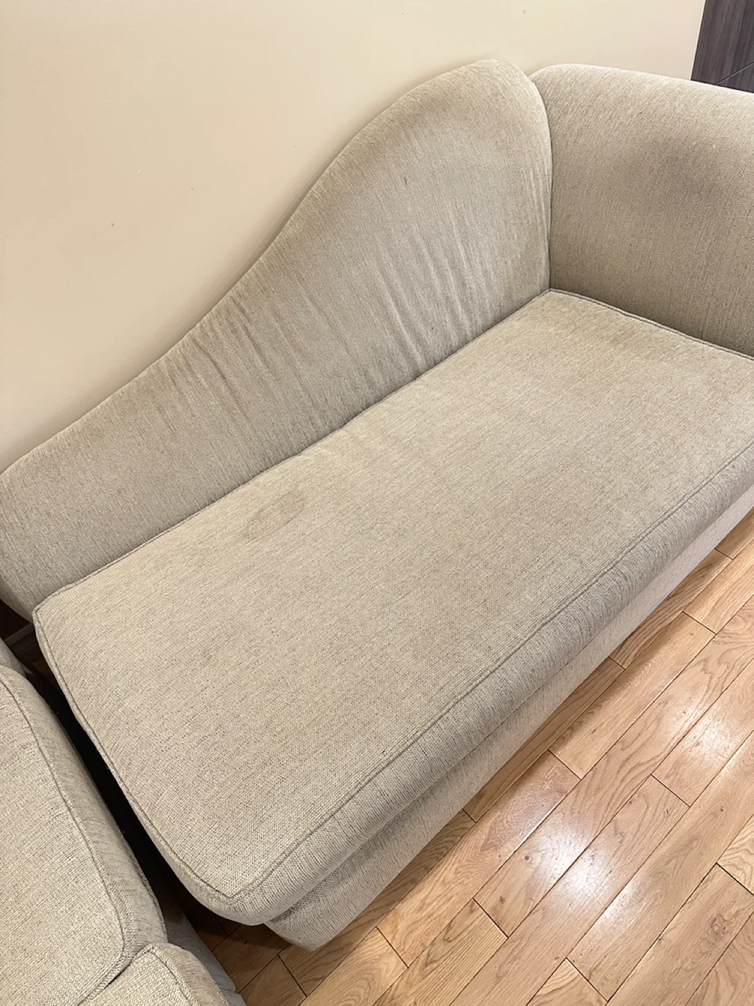2-Piece Sectional Sofa with Chaise (CAN DELIVER) - photo 5