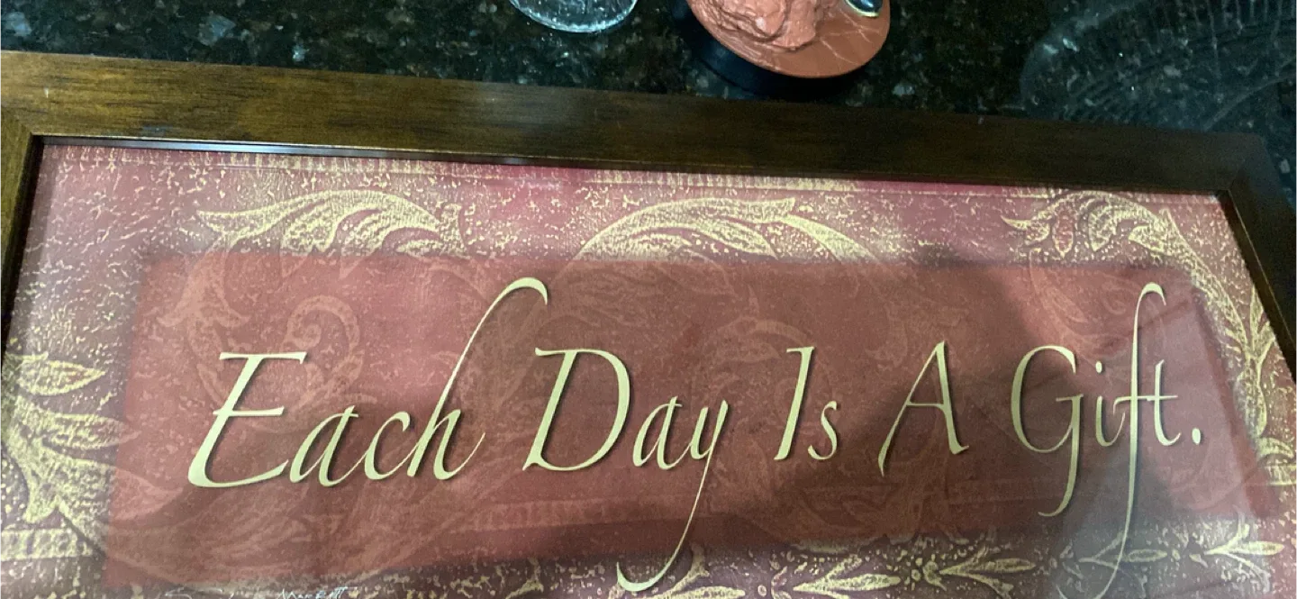 Framed Wall Art - Each Day Is A Gift image indicator(2)
