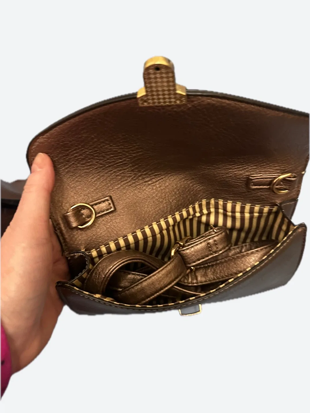 Bronze Handbag with Striped Lining image indicator(8)