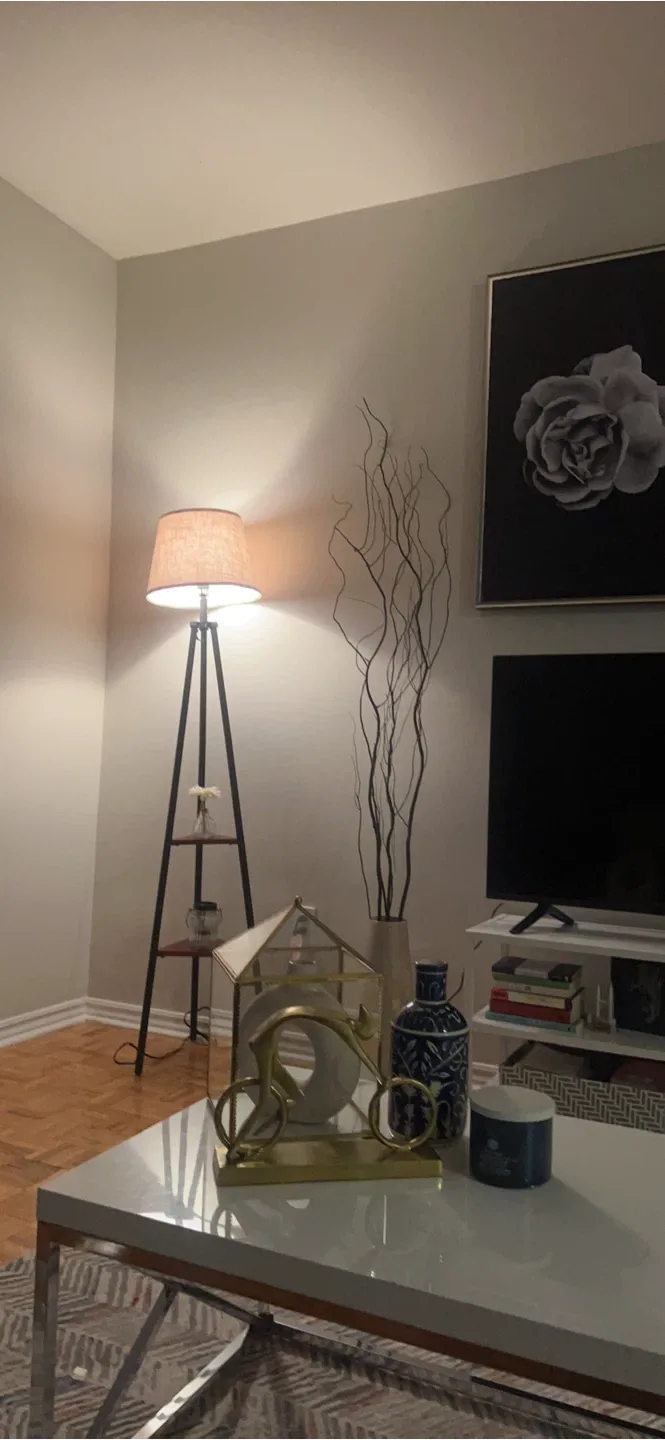 Move out sale Home Decor Items image indicator(3)