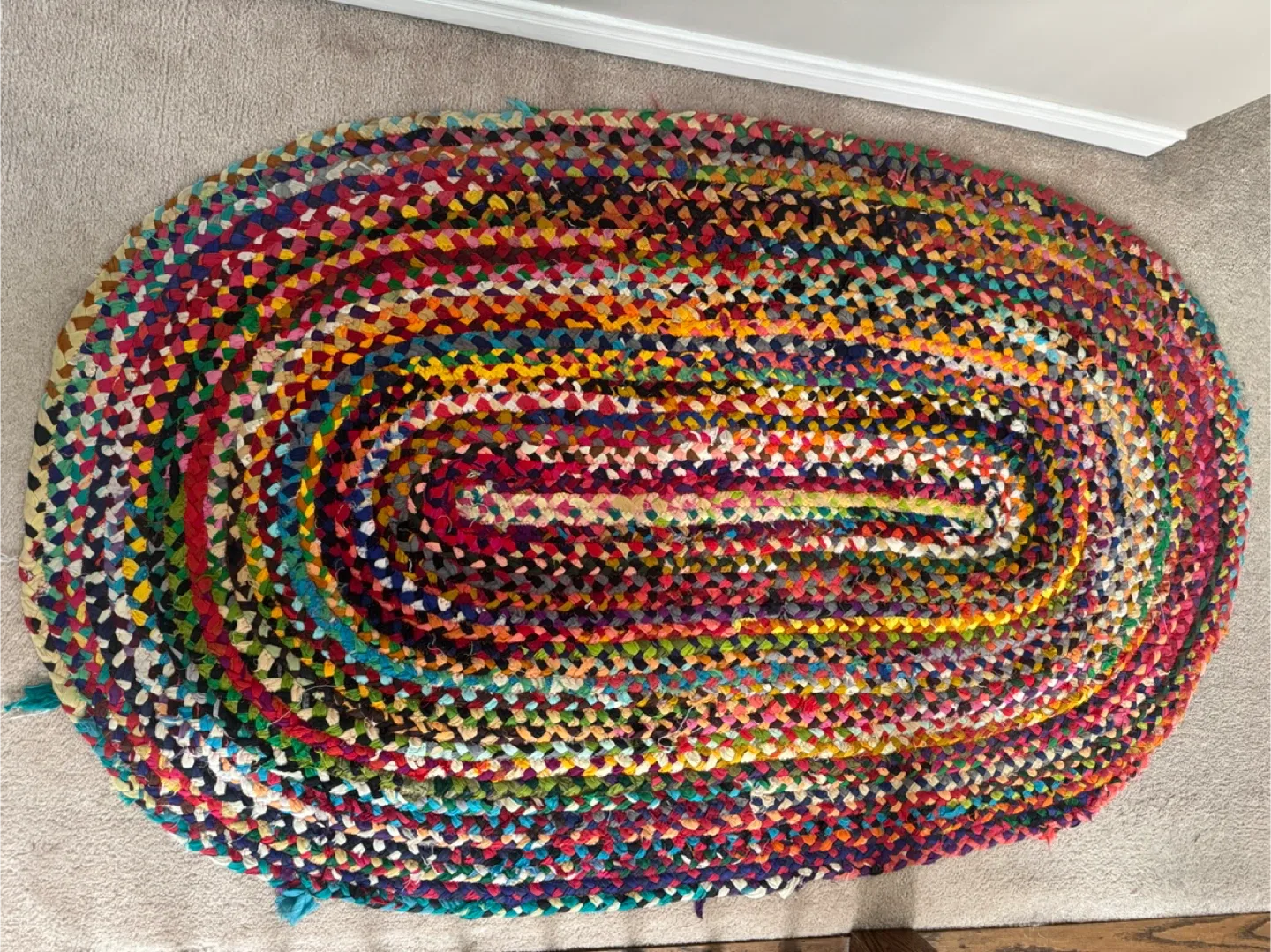 Wayfair Multicoloured Braided Oval Rug image indicator(2)