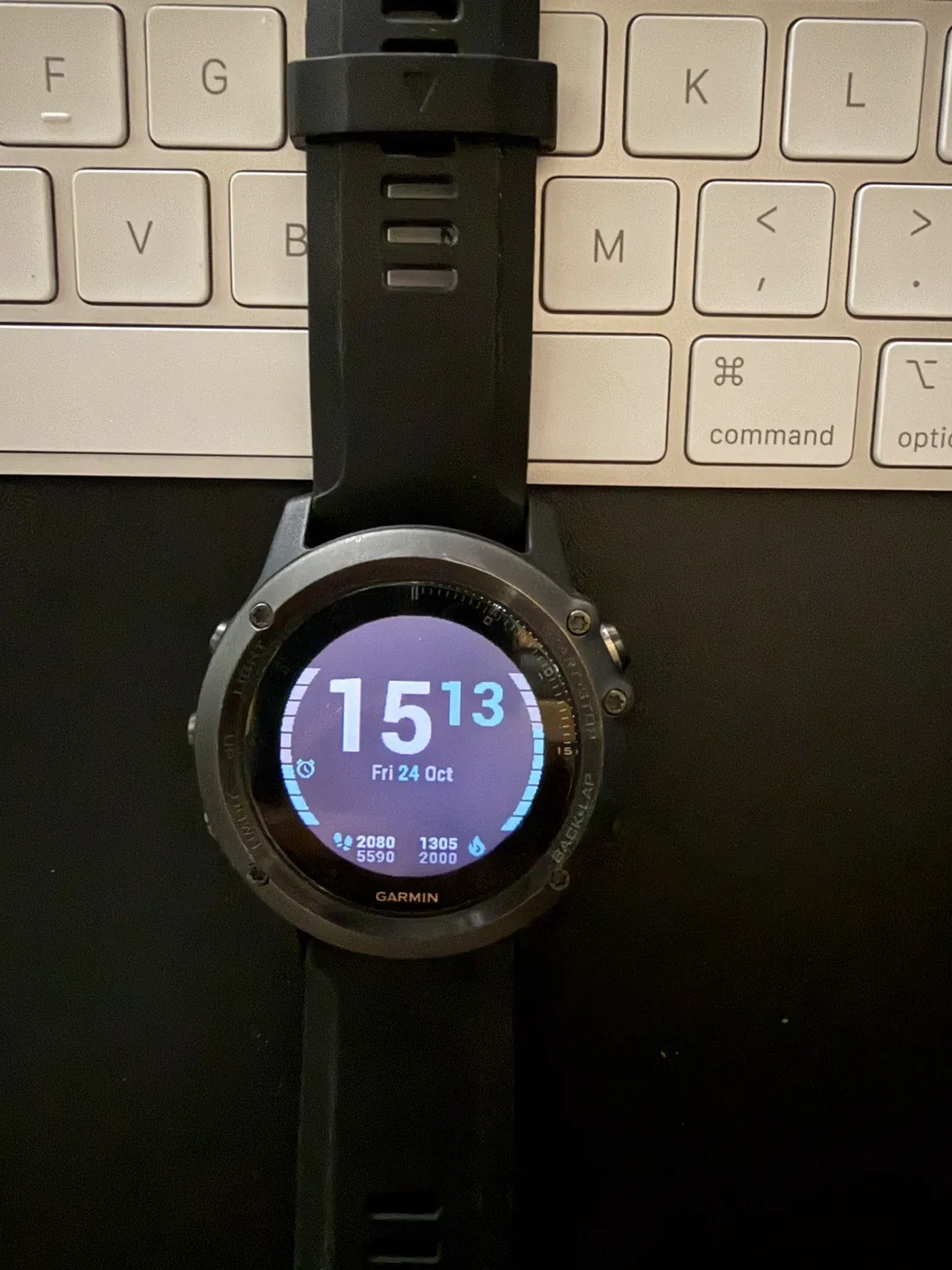 Garmin Fenix 3 HR Sapphire Edition image indicator(10)