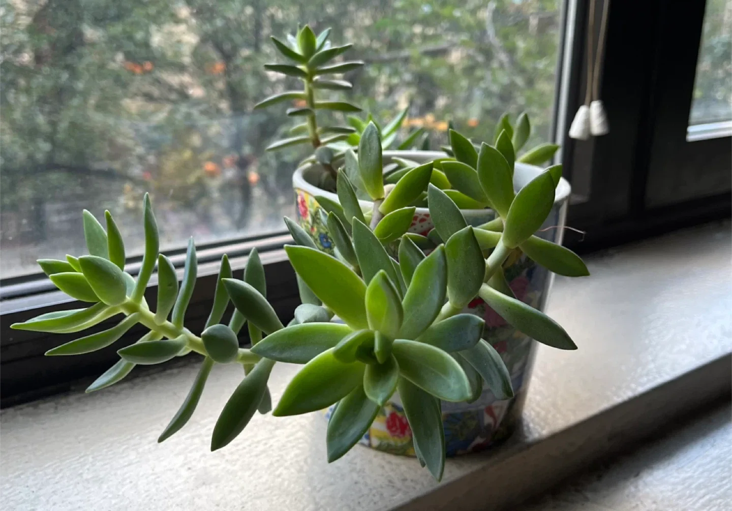 Gloria Vanderbilt 'My Collage' Planter image indicator(2)