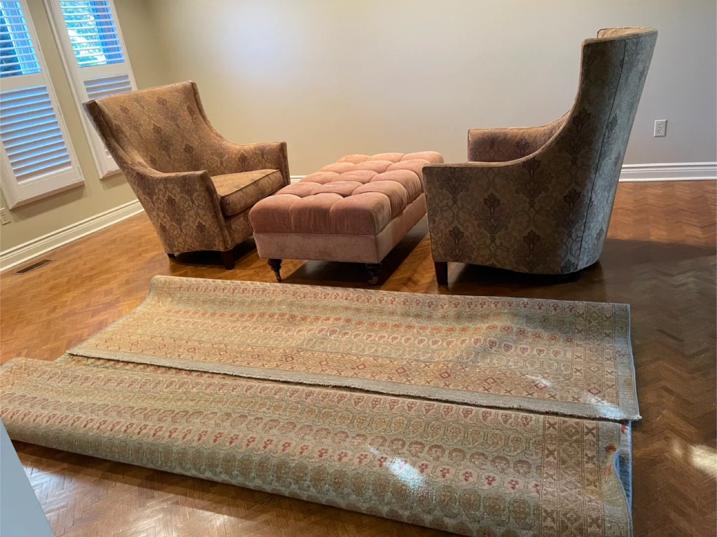 Patterned Area Rug image indicator(3)